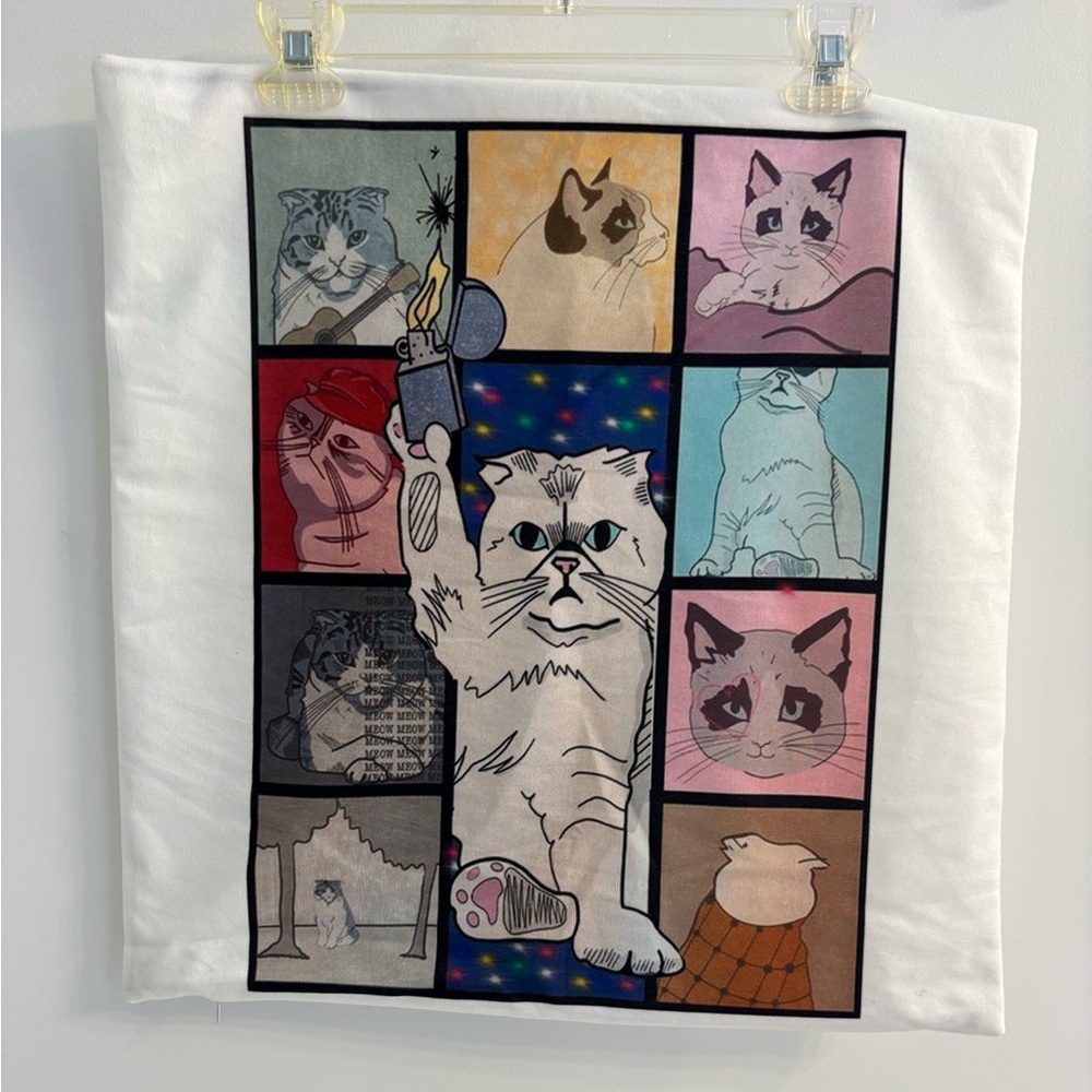 Taylor Swift Eras tour inspired pillow case featuring her cats!